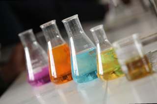 investigación científica sobre rapamicina
